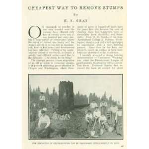    1911 Char Pit Process Stump Removal H W Sparks 