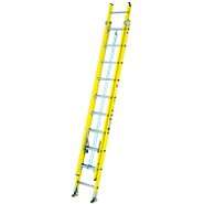 Davidson 16 ft. Aluminum Extension Ladder 