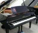 Schiller Baby Grand Piano Piano Disc IQ PAD PLAYER  