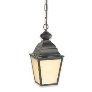   23 Outdoor Convertible Lantern Oil Rubbed Bronze with Cream Snow Globe