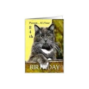    Birthday ~ Age Specific 84th ~ Cat in a box Card Toys & Games