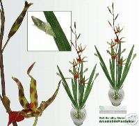 TWO 39 Gongora Orchid Artificial Flower Silk Plant GF  