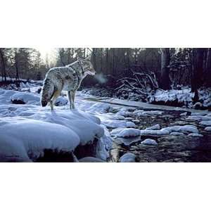  Ron Parker   Winter Creek   Coyote