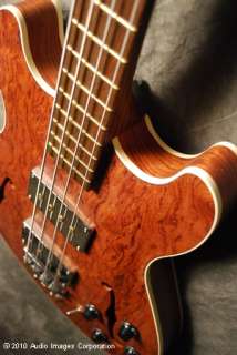 Warwick Star II 4 String Bubinga Bass Guitar New Case  