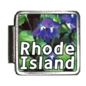  Rhode Island State Flower Violet Photo Italian Charm 