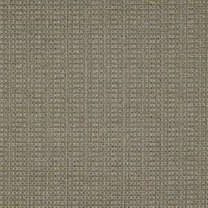  Boxed In 1635 by Kravet Smart Fabric
