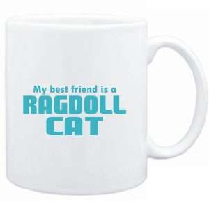    MY BEST FRIEND IS a Ragdoll  Cats 