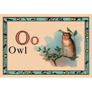   Owl   12x18 Framed Print in Gold Frame (17x23 finished) Sports