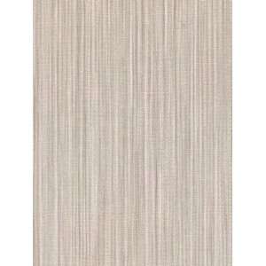    Wallpaper Patton Wallcovering Focal Point 7993150