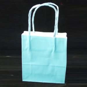 Bulk All Occasion Solid Color Paper Handle Gift Bags, Light Blue, 4.5 