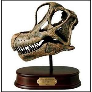 Brachiosaurus Dinosaur Skull Model  Toys & Games  