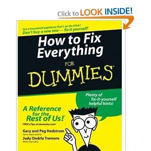  How to Fix Everything For Dummies [Paperback] Gary 