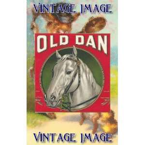   ) Acrylic Fridge Magnet Horses Old Dan Vintage Image