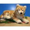 Kösener 5750   Hund Shiba Inu Koro 28 cm Kösen  Spielzeug
