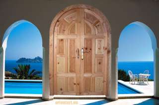 orientalische Massiv Holz Haus Tür handgeschnitzt aus Afghanistan 