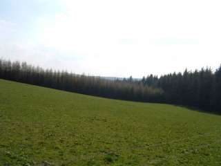 Ausritte im schönen Vogtland in Sachsen   Reichenbach (Vogtland 