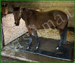 Stable Horse Mat EVA 34mm thick 6ft x 4ft  