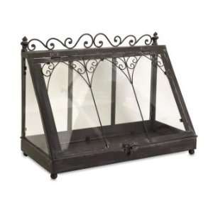 IMAX Traditional Tabletop Terrarium In Wrought Iron With Clear Glass 