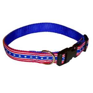   Freedom on Royal Blue Pattern Medium Dog Collar