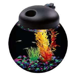   Aq150004c Led Globe Bowl 1.5 Gallon Aquarium Kit