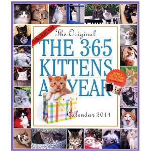  365 Kittens a Year Wall Calendar 2011