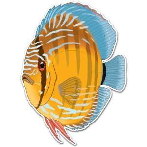  Discus Fish Aquarium Car Bumper Sticker Decal 5x3.5 