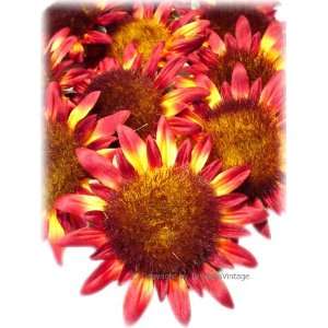 Lot 100 Silk Sunflower Flower Heads / Weddings / Crafts  