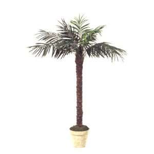  7 Artificial Phoenix Coconut Palm Tree with Bendable 