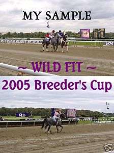 WILD FIT HORSE RACE 2005 BREEDERS CUP COLLAGE PHOTO  