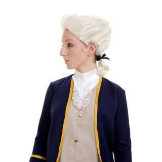 Boys Colonial Wig Costume Accessory.Opens in a new window