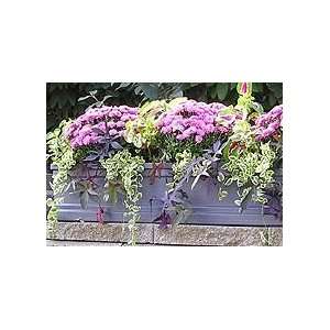  Fiberglass Window Box 5ft Black