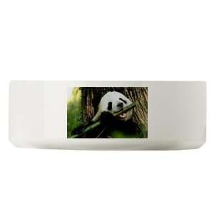  Large Dog Cat Food Water Bowl Panda Bear Eating 