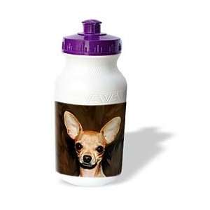 Dogs Chihuahua   Chihuahua Portrait   Water Bottles  