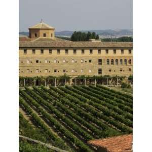 Vineyard and Monastery, Olite, Navarra, Euskadi, Spain Photographic 