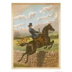   Brown Horse Giclee Poster Print by C.b. Herberte, 30x40 Home