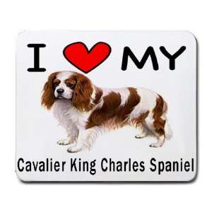  I Love My Cavalier King Charles Spaniel