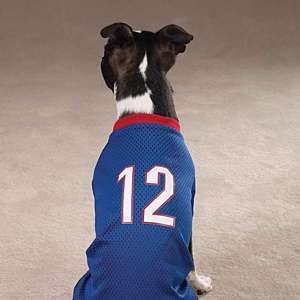 Football Jersey   Blue, one of our Dog Clothes and Dog Clothing