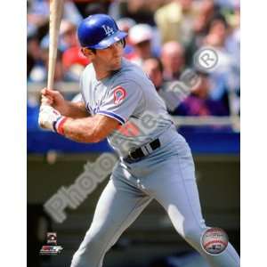 Steve Garvey 1981 Action , 16x20