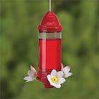 Glass Crystal Lantern Hummingbird Feeder   Artline Red w/ white 