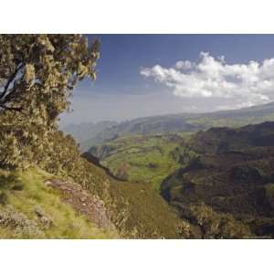  Dramatic Mountain Scenery from the Area Around Geech, the Ethiopian 