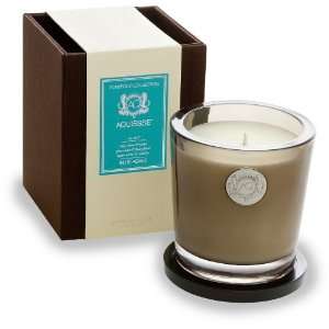  Aquiesse Blue Agave Candle