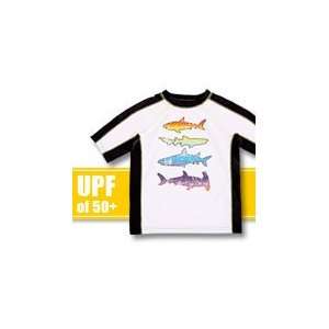  Flapdoodles Ombre Shark Rash Guard