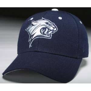   Hampshire Wildcats WILDCAT HEAD Navy DHS Hat