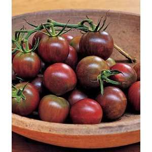  Tomato, Black Pearl Hybrid 1 Pkt. (30 seeds) Patio, Lawn 