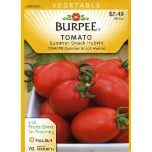  Burpee 66006 Tomato Summer Snack Hybrid Seed Packet Patio 