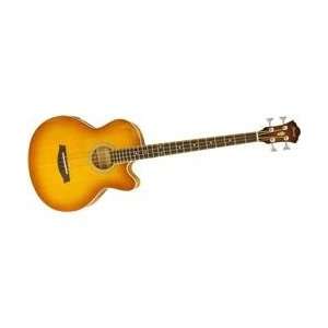  Ibanez AEB5E Acoustic Electric Bass (LIGHT VIOLIN SUNBURST 