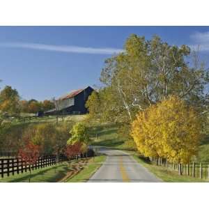  Rural Road Through Bluegrass in Autumn Near Lexington, Kentucky 