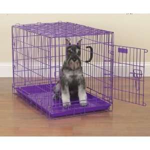   Large   ProSelect Fold Down Dog Crate   Purple