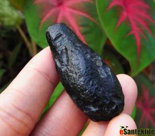 19.0 g.TWO SKIN TEARDROP TEKTITE METEORITE #y55  