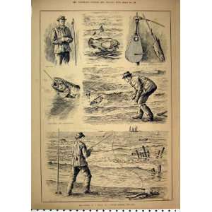  1886 Sea Fishing Sport Cod Man Rod Baiting Casting